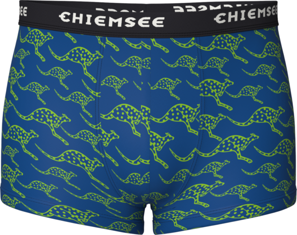 CHIEMSEE Boxershorts 2er Pack Boys mit Kangarooo Print Unterwäsche für Jungen – Bild 2