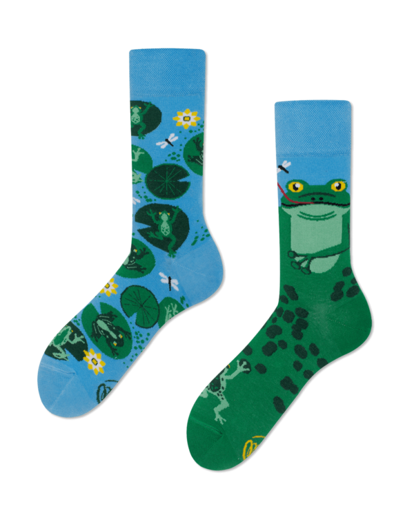Sportfreunde Loxten limitierte Socken FROGS