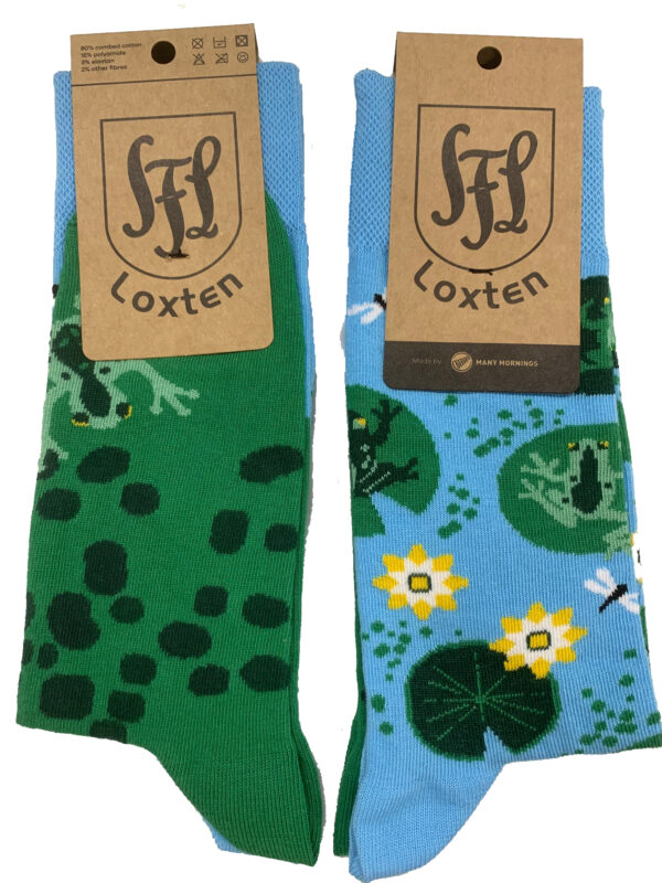 Sportfreunde Loxten limitierte Socken FROGS – Bild 7