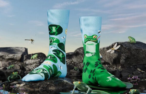 Sportfreunde Loxten limitierte Socken FROGS – Bild 8