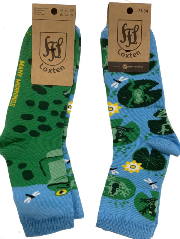Sportfreunde Loxten limitierte Socken FROGS – Bild 6